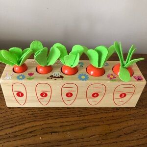 Wooden Counting Carrot Toy - Green Tops